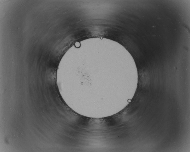 X0000103970329200810101314