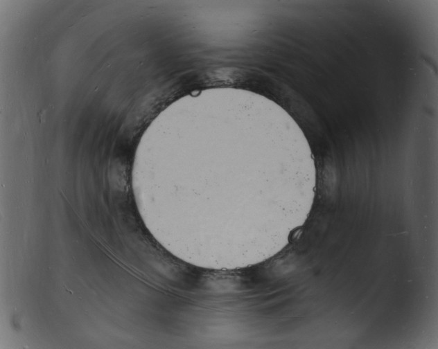 X0000103970331200810101314