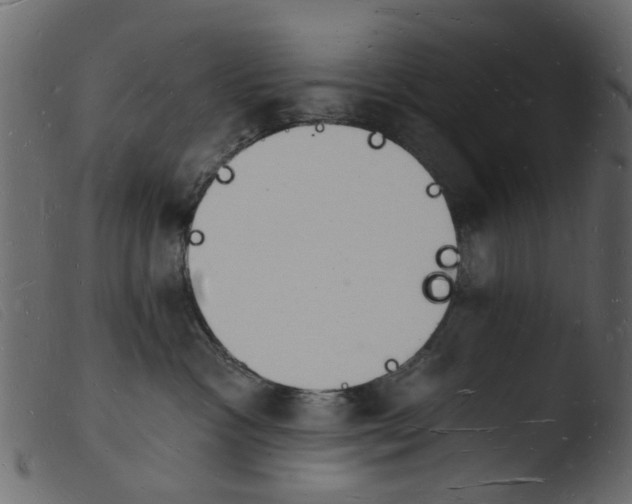 X0000103970333200810101314