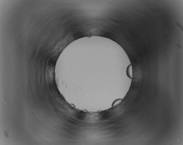 X0000103970334200810101314