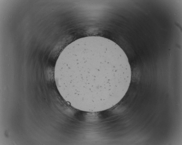 X0000103970335200810101314