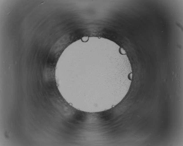 X0000103970336200810101314