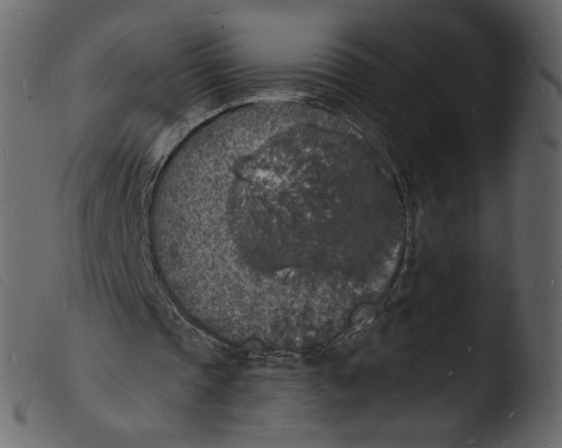 X0000103970337200810101313