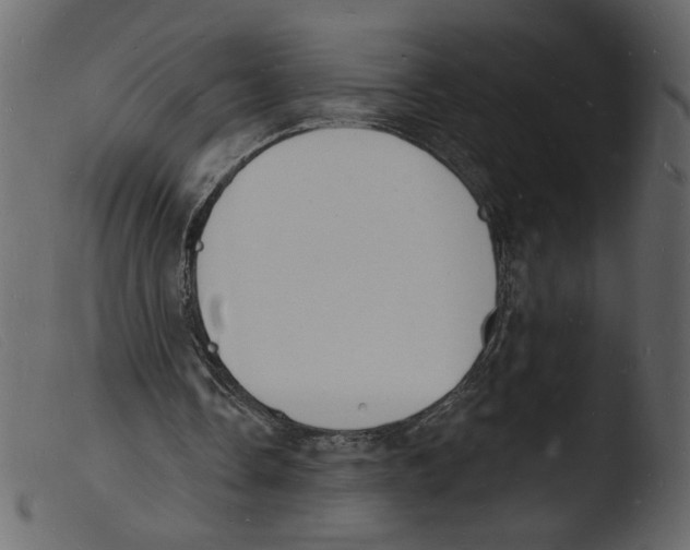 X0000103970338200810101313