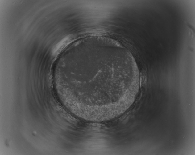 X0000103970339200810101313