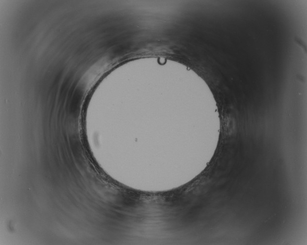 X0000103970340200810101313