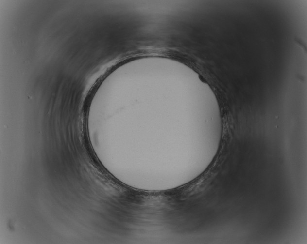 X0000103970342200810101313