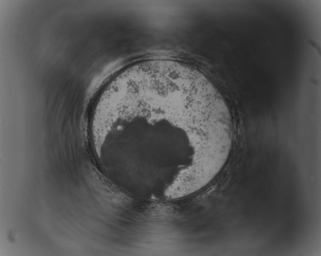 X0000103970343200810101313