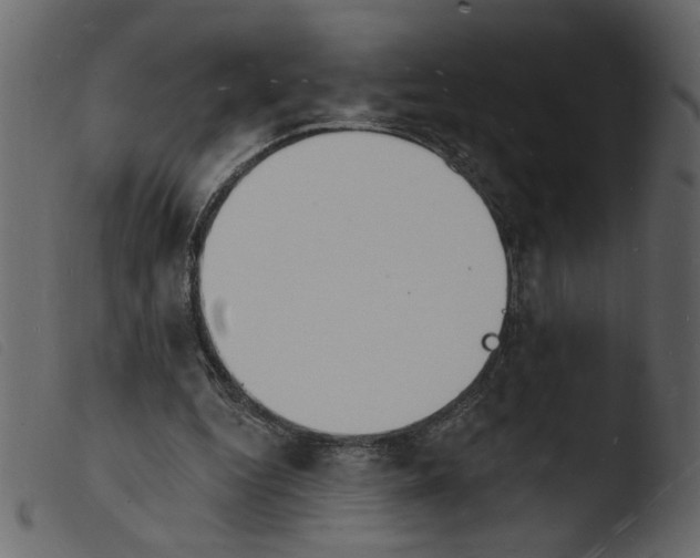 X0000103970344200810101313