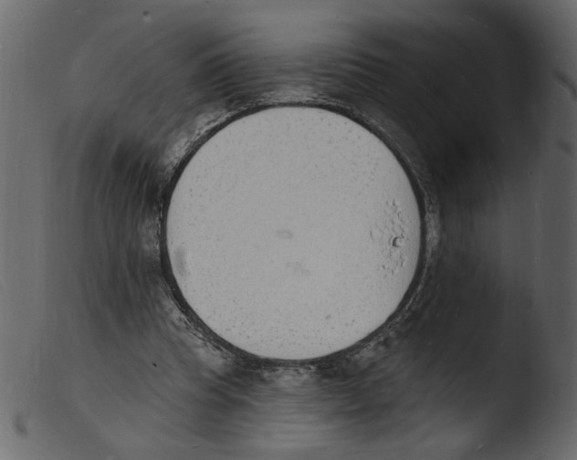 X0000103970345200810101313