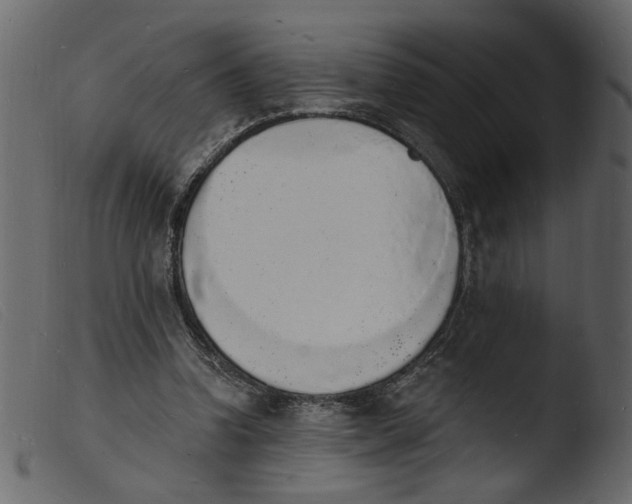 X0000103970346200810101313