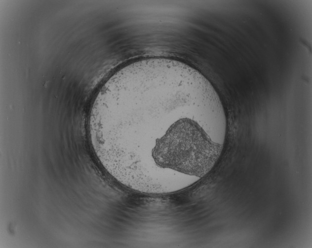 X0000103970347200810101313