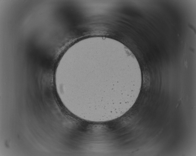 X0000103970348200810101313