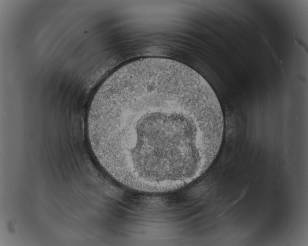 X0000103970349200810101313