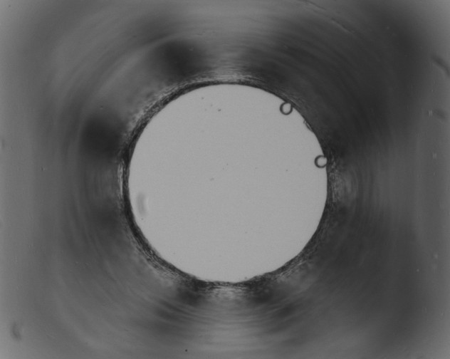 X0000103970350200810101313