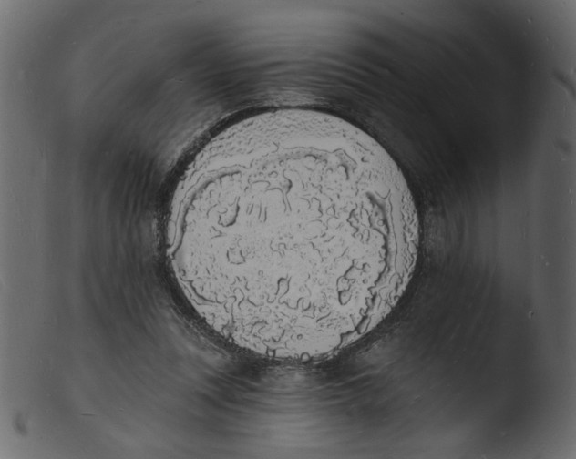 X0000103970351200810101313