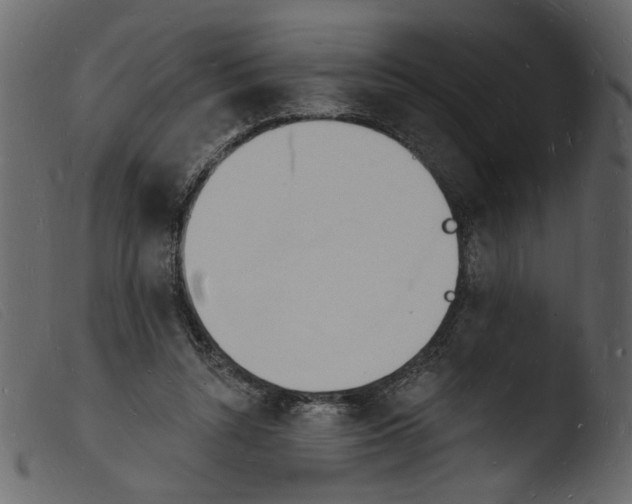 X0000103970352200810101313