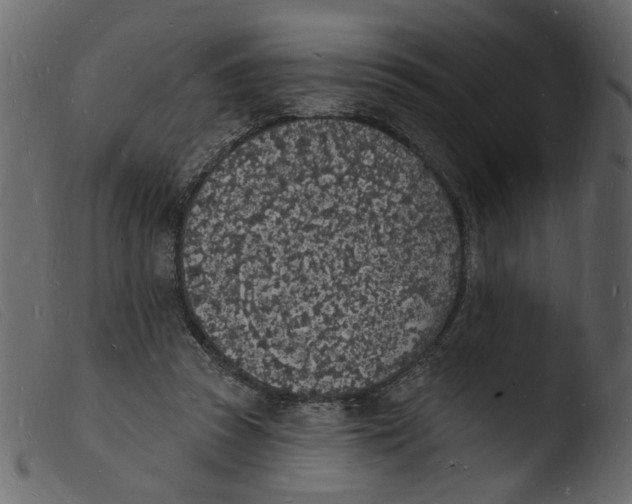 X0000103970353200810101313