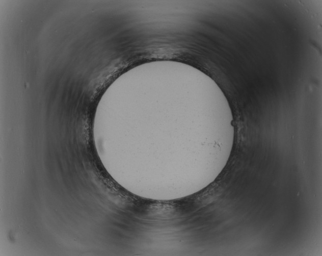 X0000103970354200810101313