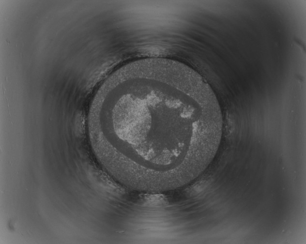 X0000103970355200810101313