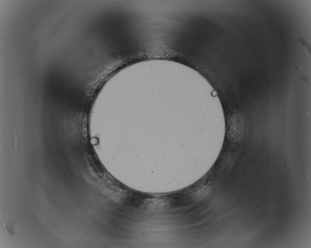 X0000103970356200810101313