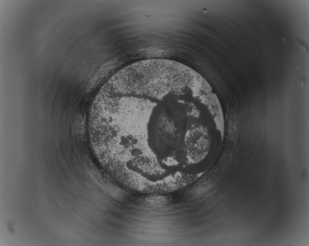 X0000103970357200810101313