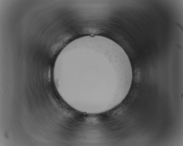 X0000103970358200810101313