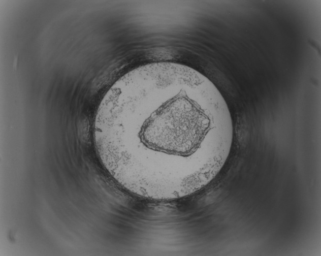 X0000103970359200810101313