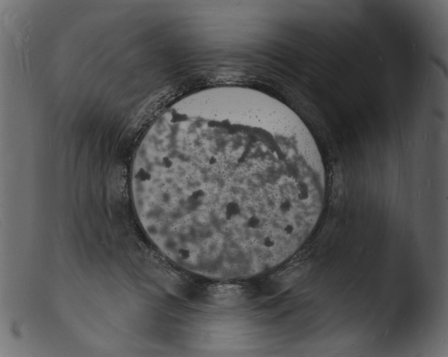 X0000103970361200810101313