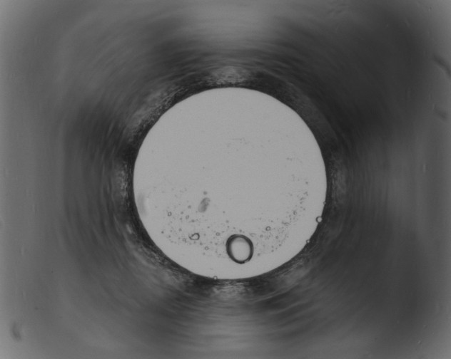 X0000103970362200810101313