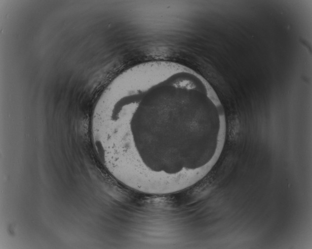 X0000103970365200810101313