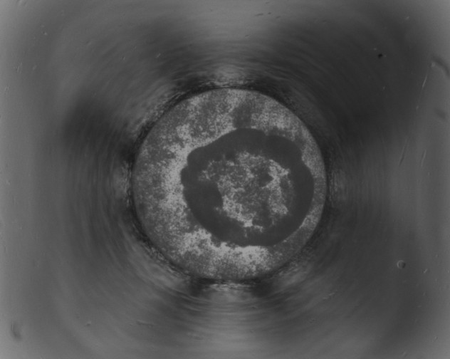 X0000103970367200810101313