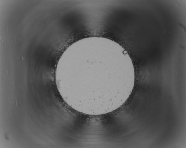 X0000103970368200810101313