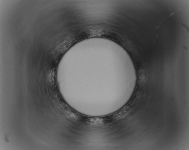 X0000103970369200810101313