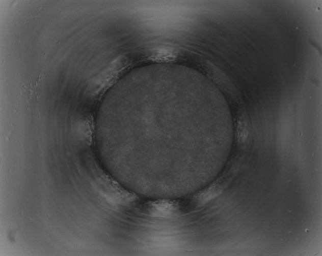 X0000103970370200810101313