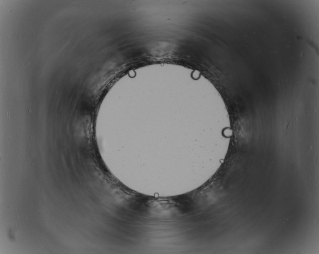 X0000103970372200810101313