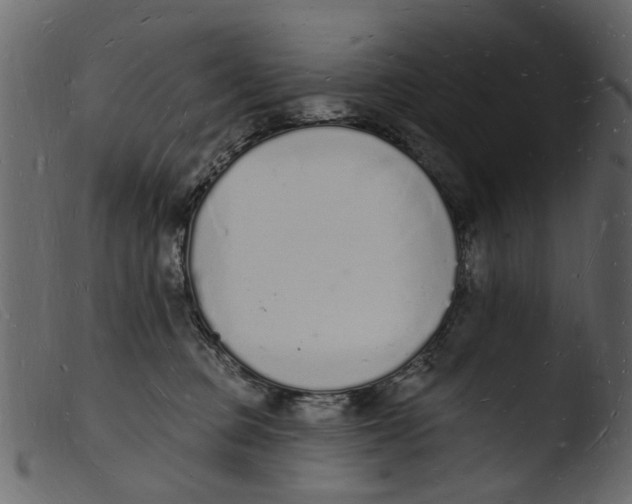 X0000103970373200810101314