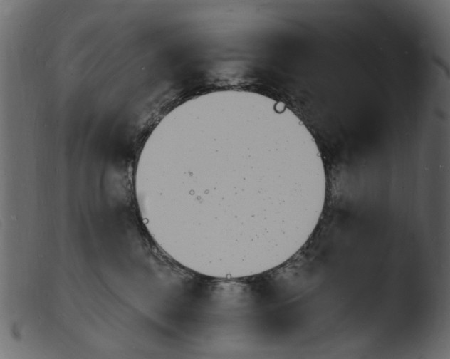 X0000103970376200810101314