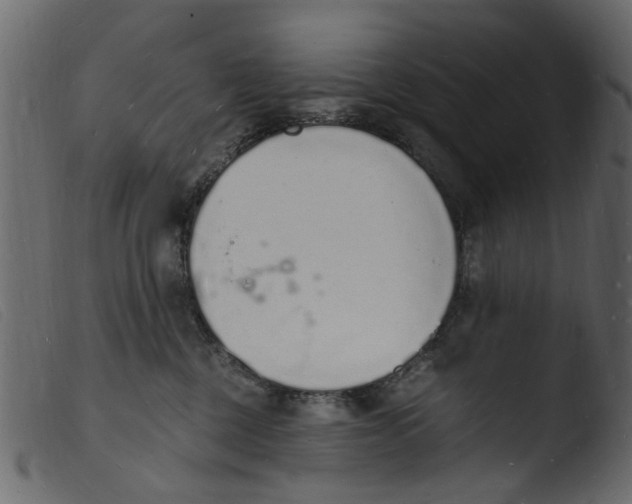 X0000103970377200810101314