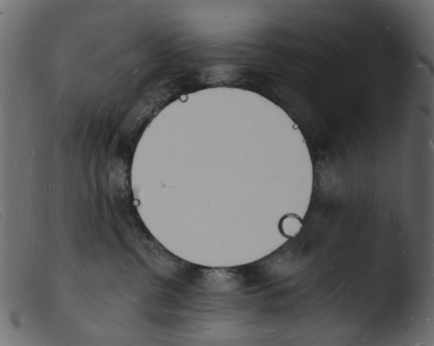 X0000103970380200810101314