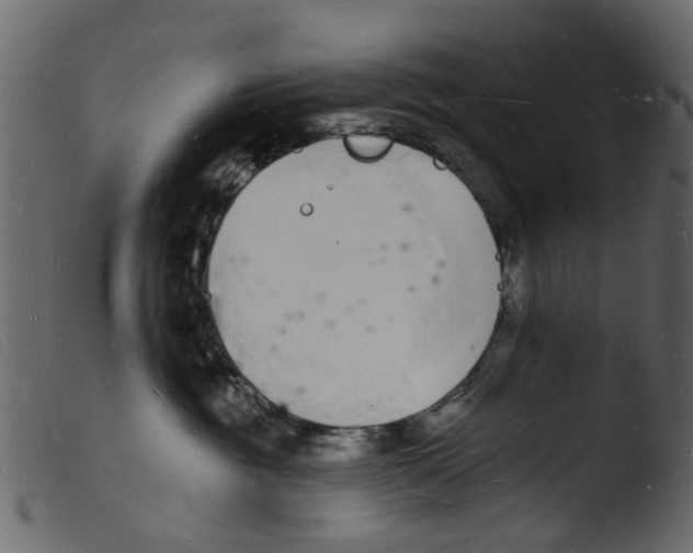 X0000103970381200810101314