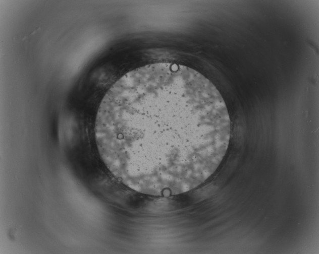 X0000103970382200810101314