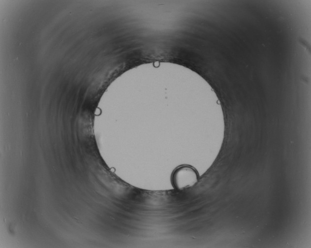 X0000103970384200810101314