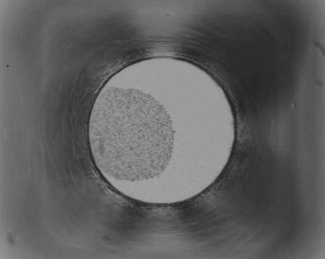 X0000103970385200810101313