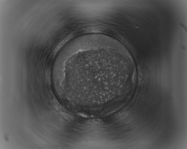 X0000103970386200810101313