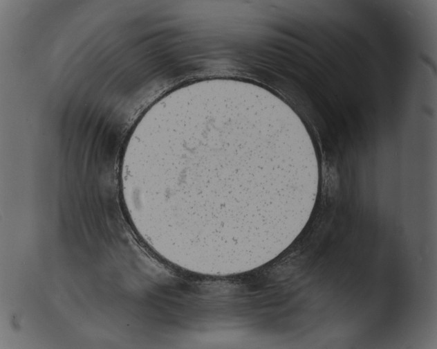 X0000103970389200810101313