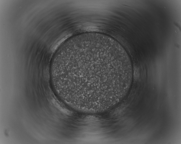 X0000103970390200810101313