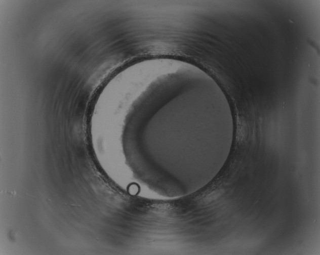 X0000103970391200810101313