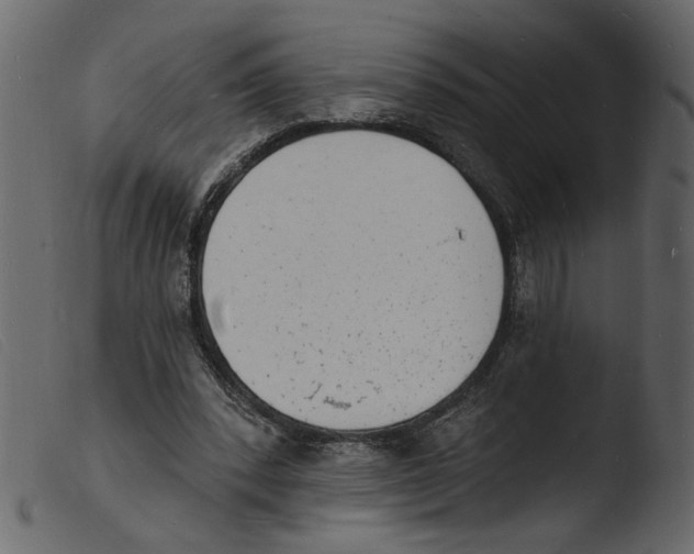 X0000103970392200810101313