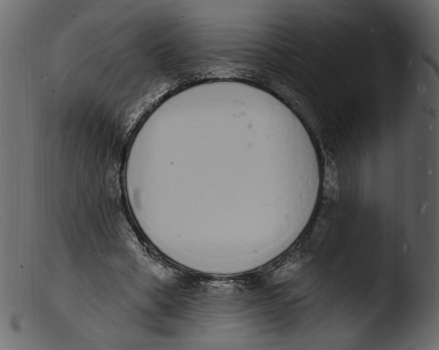 X0000103970394200810101313